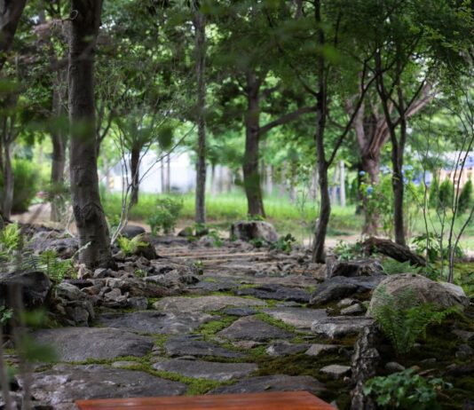 산림청 국립수목원, 생물다양성 증진을 위한 ‘서식처 정원’ 조성