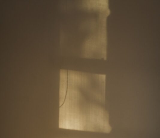 무더운 여름, 건강하게 보내는 생활 속 꿀팁 window shadow on wall