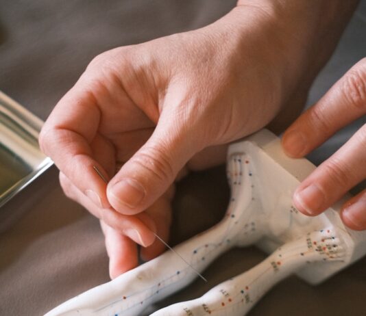 대체요법, 현대인의 새로운 건강 해법이 될 수 있을까? a person holding a snake