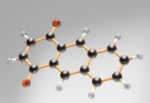 소리 없는 지배자 ‘코르티솔’: 스트레스 호르몬을 다스리는 호흡의 과학 an image of a structure that looks like a structure