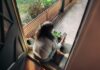 일상에 스며든 만성피로, 새로운 루틴으로 활력을 찾다 Woman sitting on balcony with smartphone