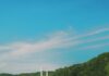 “나를 돌보는 작은 습관의 힘”…일상 속 웰니스 문화 확산 White staircase in a vibrant field of red poppies.