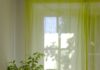 일상 속에서 만나는 웰니스 문화, 새로운 건강 트렌드와 실천 팁 green plant near white window curtain